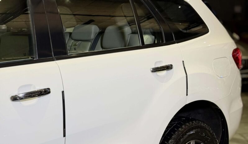 
								FACELIFT (PUSH BUTTON) full									