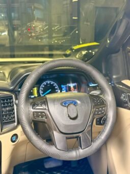 
										FACELIFT (PUSH BUTTON) full									