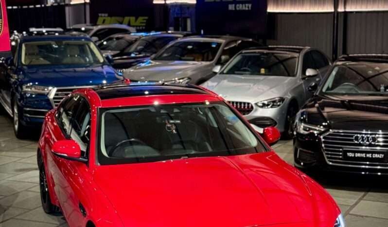 
								XE P250 SE (Top Variant) full									