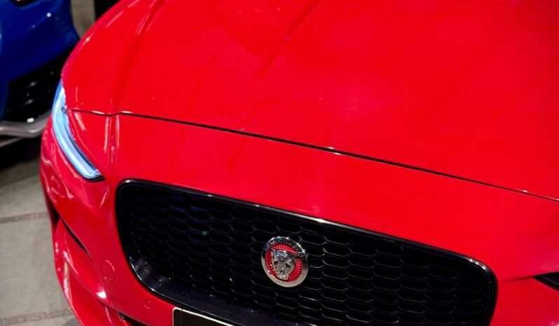 
								XE P250 SE (Top Variant) full									