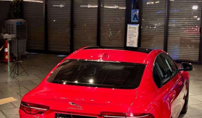 
								XE P250 SE (Top Variant) full									