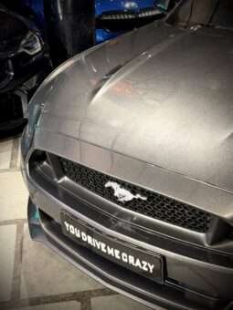 
										FORD MUSTANG GT 5.0 V8 full									