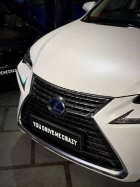 LEXUS NX300