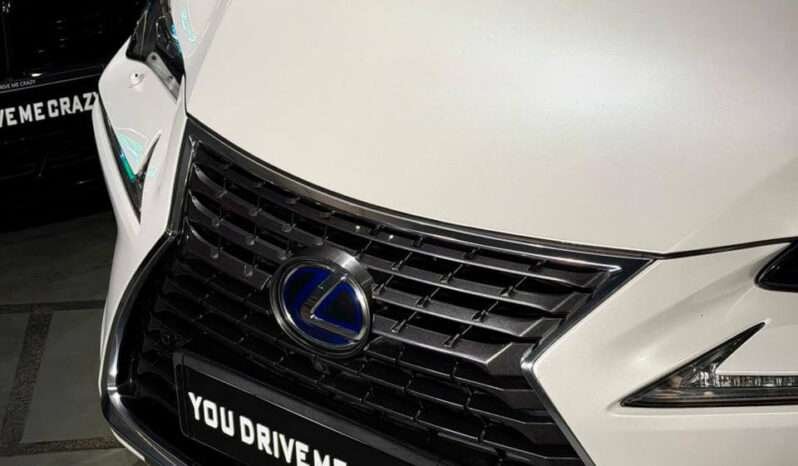 
								LEXUS NX300 full									