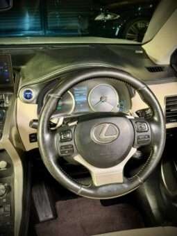 LEXUS NX300