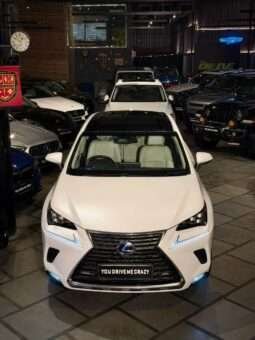 
										LEXUS NX300 full									