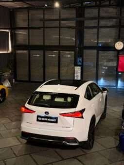 
										LEXUS NX300 full									