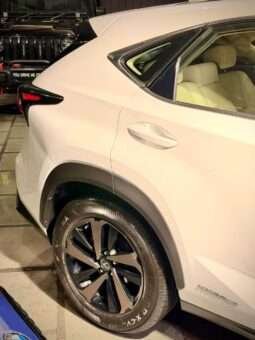 
										LEXUS NX300 full									
