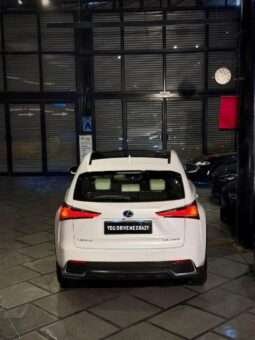 
										LEXUS NX300 full									