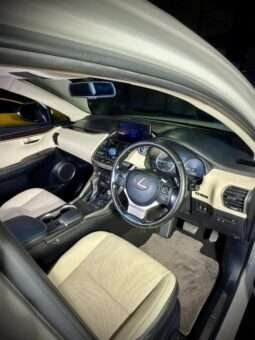 
										LEXUS NX300 full									