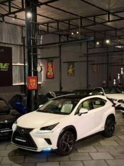 
										LEXUS NX300 full									