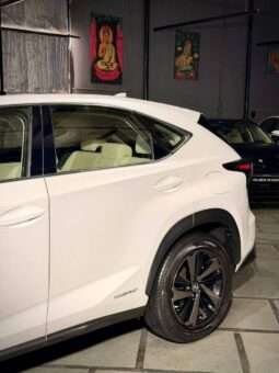 
										LEXUS NX300 full									