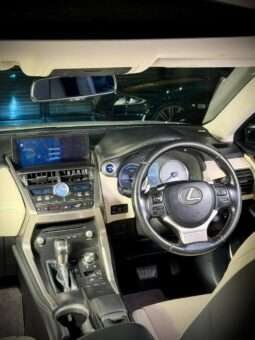 
										LEXUS NX300 full									