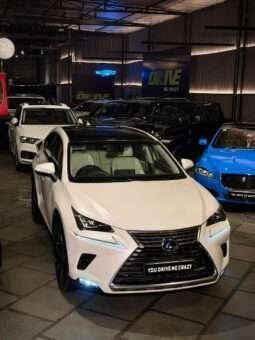 
										LEXUS NX300 full									