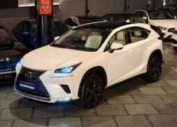 LEXUS NX300