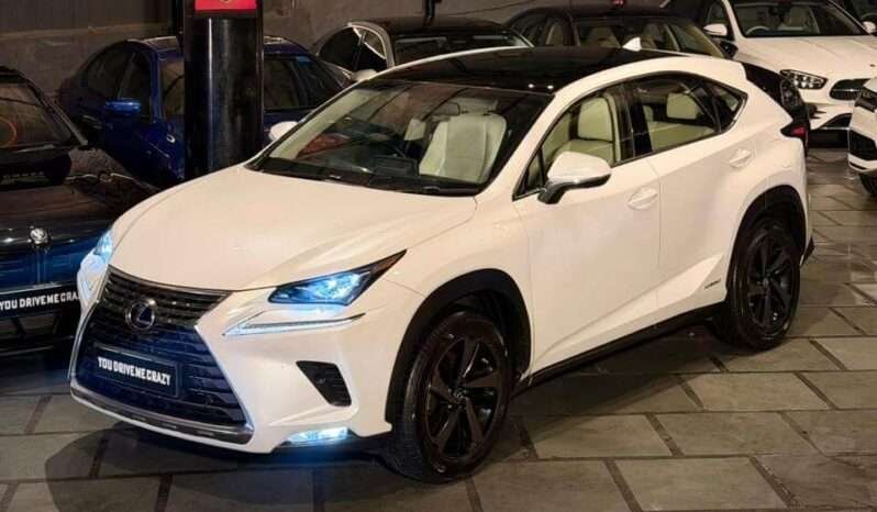 WhatsApp Image 2025-12-29 at 4.45.42 PM (1)