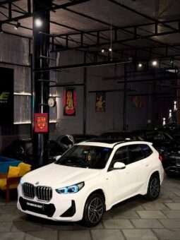 
										Bmw X1 Msport full									