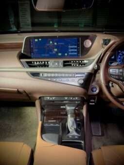
										Lexus ES 300h full									