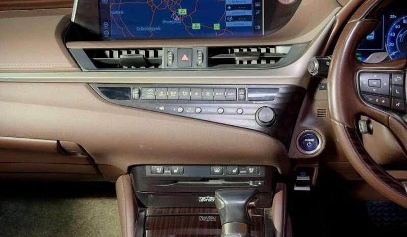 
								Lexus ES 300h full									