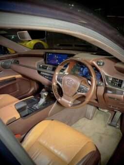
										Lexus ES 300h full									