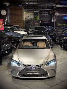 
										Lexus ES 300h Luxury full									
