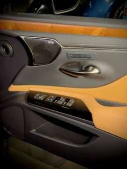 
										Lexus ES 300h Luxury full									