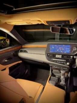 
										Lexus ES 300h Luxury full									