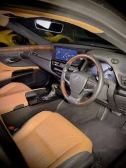 
										Lexus ES 300h Luxury full									