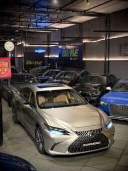 
										Lexus ES 300h Luxury full									