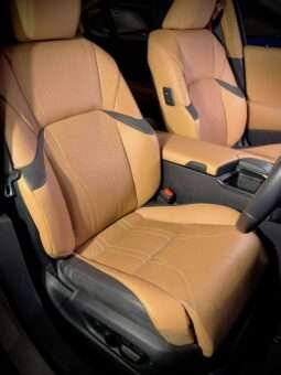 
										Lexus ES 300h Luxury full									