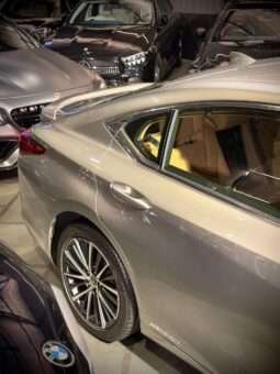 
										Lexus ES 300h Luxury full									