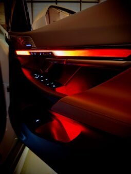 
										BMW 530Li MSport full									