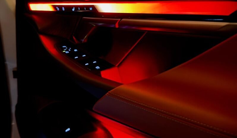 
								BMW 530Li MSport full									