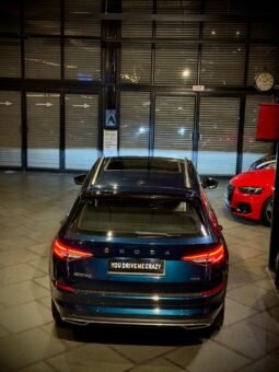 
										Škoda Kodiaq 4×4 full									