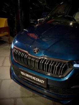 
										Škoda Kodiaq 4×4 full									