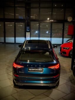 
										Škoda Kodiaq 4×4 full									