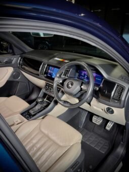 
										Škoda Kodiaq 4×4 full									