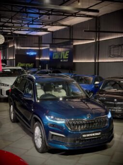 
										Škoda Kodiaq 4×4 full									