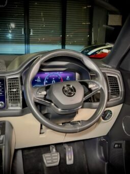 
										Škoda Kodiaq 4×4 full									