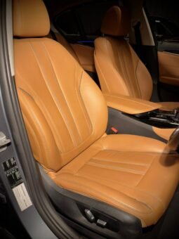 
										BMW 520d Luxury Line full									