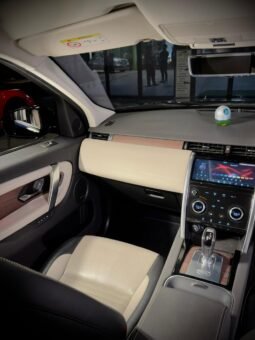
										Land Rover Discovery Sport Dynamic SE Diesel full									