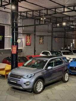 
										Land Rover Discovery Sport SD4 full									