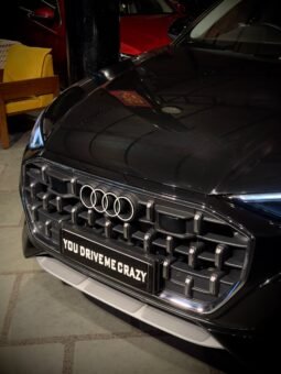 
										2025 AUDI Q8 55 TFSI QUATTRO full									
