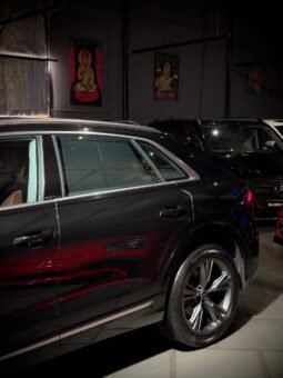 
										2025 AUDI Q8 55 TFSI QUATTRO full									