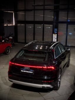 
										2025 AUDI Q8 55 TFSI QUATTRO full									