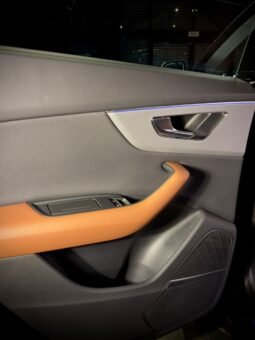 
										2025 AUDI Q8 55 TFSI QUATTRO full									