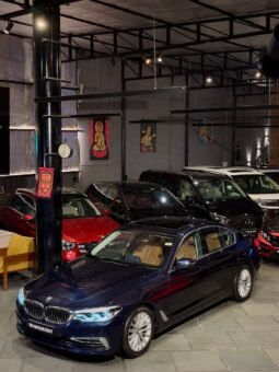 
										BMW 520d LUXURY LINE full									