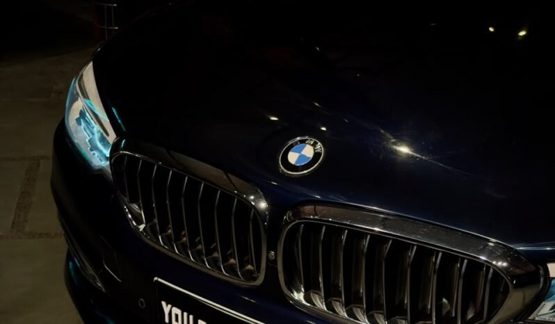 
								BMW 520d LUXURY LINE full									