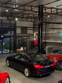 
										BMW 520d LUXURY LINE full									