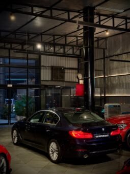 
										BMW 520d LUXURY LINE full									